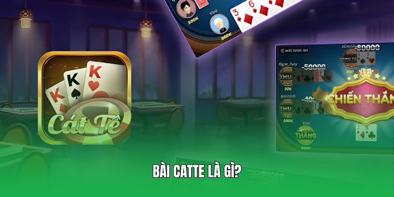 Tìm hiểu khai niệm bài Catte là gì?