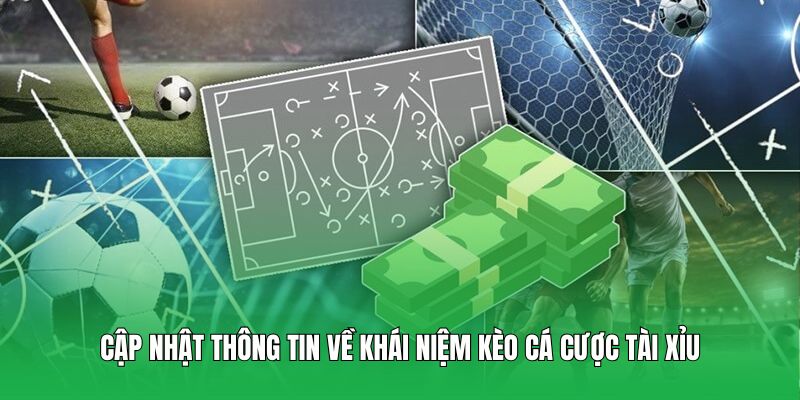 Cập nhật thông tin về khái niệm kèo cá cược tài xỉu