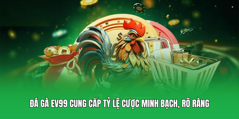 Đá gà EV99 cung cấp tỷ lệ cược minh bạch, rõ ràng