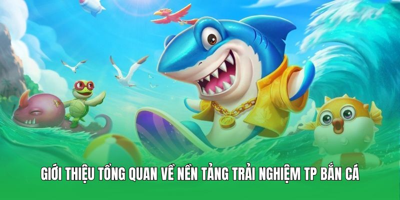 Giới thiệu tổng quan về nền tảng trải nghiệm TP Bắn Cá