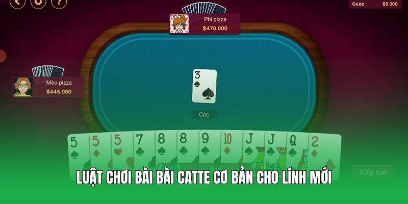 Luật chơi bài bài Catte cơ bản cho lính mới