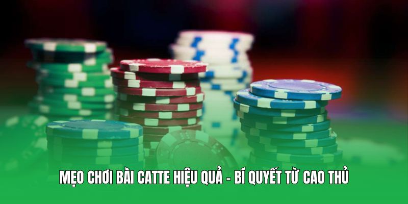 Mẹo chơi bài Catte hiệu quả – Bí quyết từ cao thủ