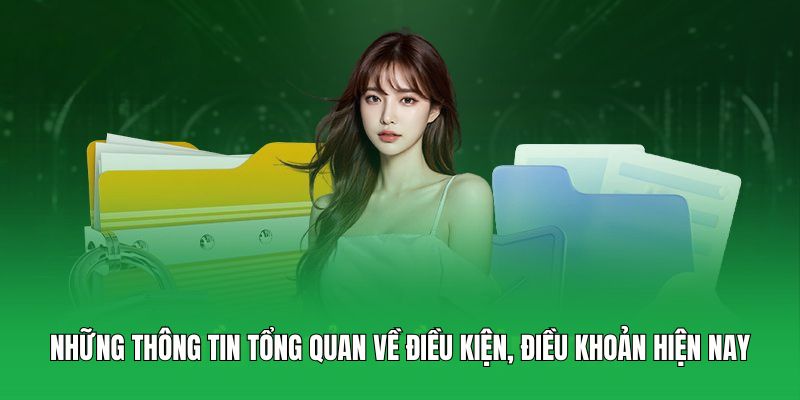 Những thông tin tổng quan về điều khoản và điều kiện hiện nay