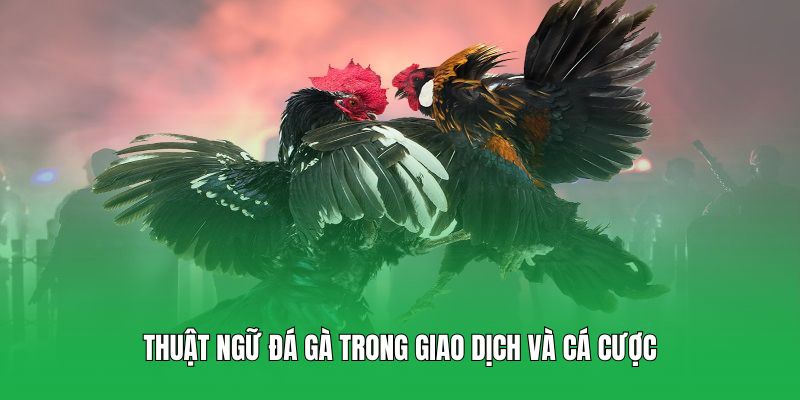 Thuật ngữ đá gà trong giao dịch và cá cược