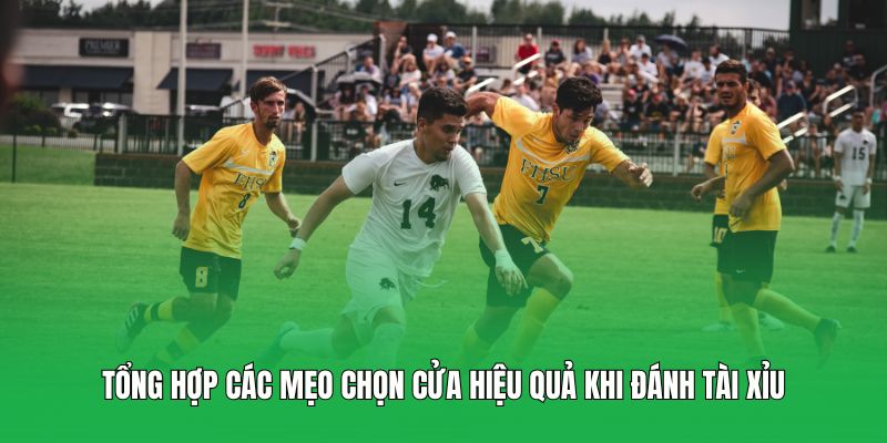 Tổng hợp các mẹo chọn cửa hiệu quả khi đánh tài xỉu