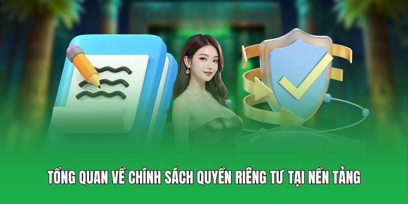 Tổng quan về chính sách quyền riêng tư tại nền tảng