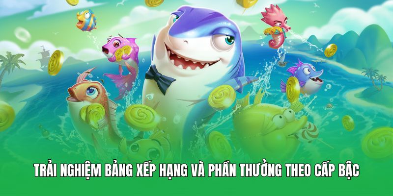 Trải nghiệm bảng xếp hạng và phần thưởng theo cấp bậc